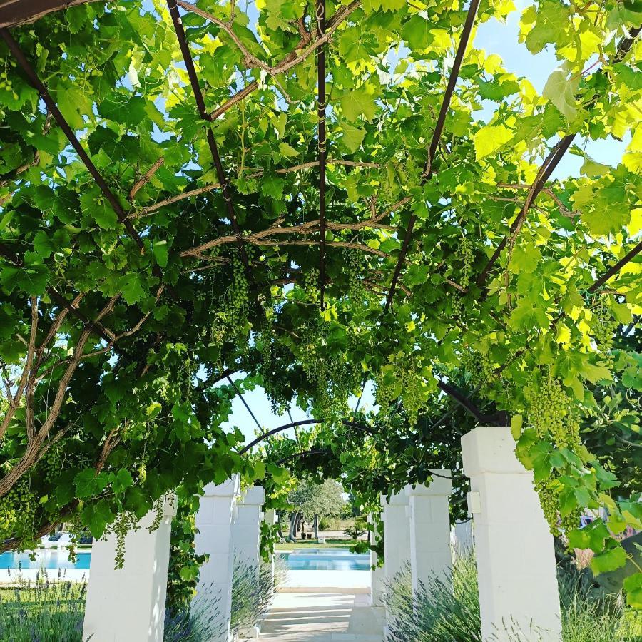 بولينيانو آ ماري Masseria Almadava المظهر الخارجي الصورة