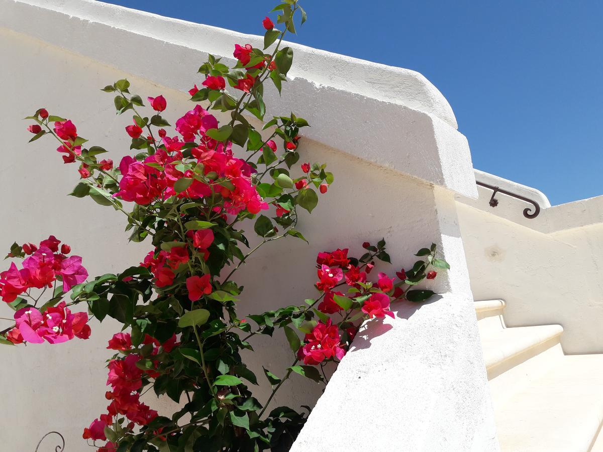 بولينيانو آ ماري Masseria Almadava المظهر الخارجي الصورة